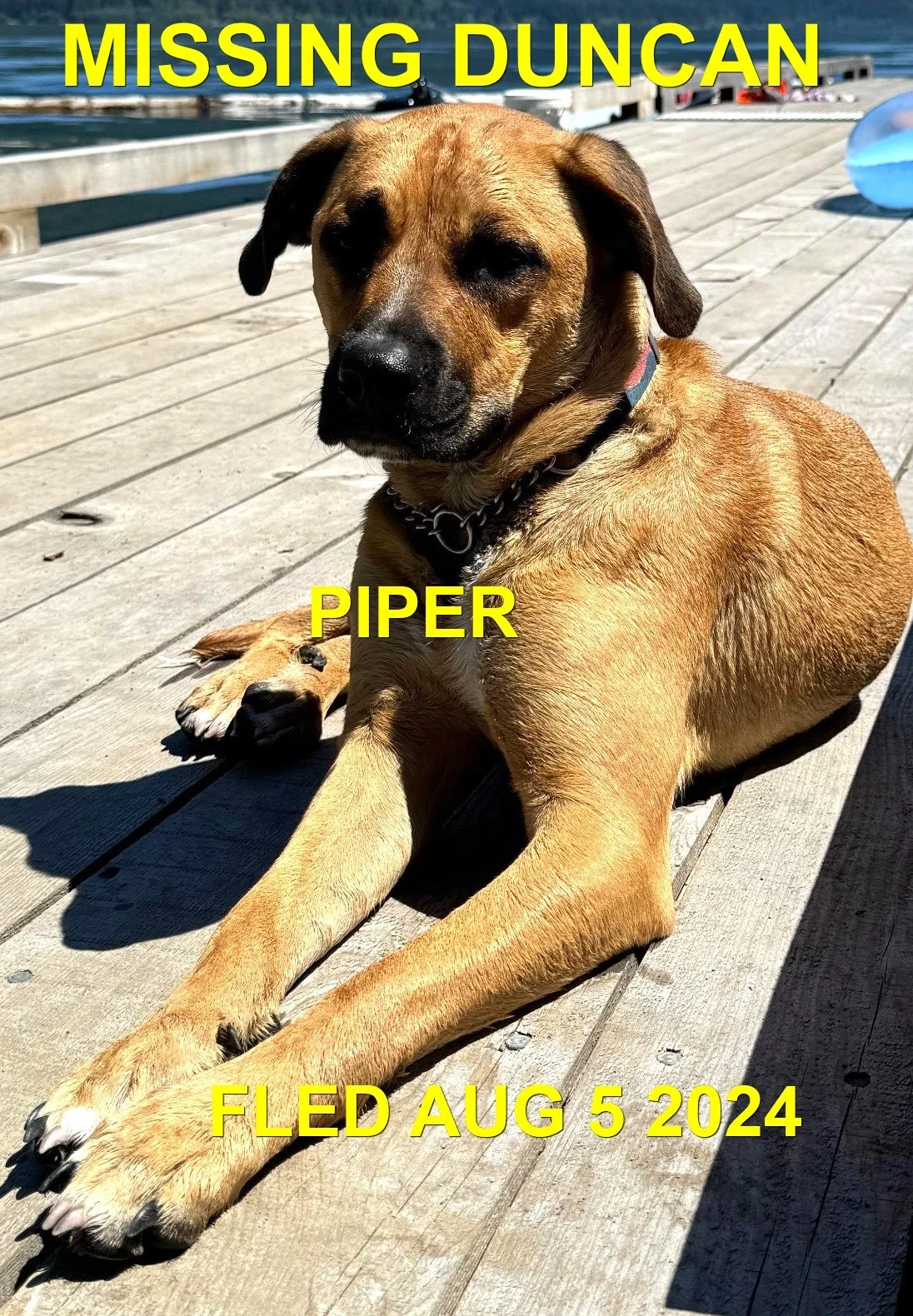 HAPPY ENDINGS - DUNCAN BC. / PIPER / AUG. 5, 2024