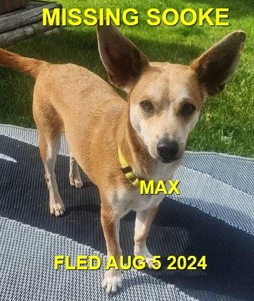 HAPPY ENDINGS - SOOKE BC. / MAX / AUG 5, 2024
