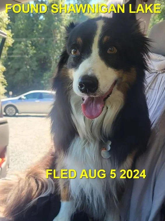 HAPPY  ENDINGS - SHAWNIGAN LAKE BC. / AUG. 5, 2024