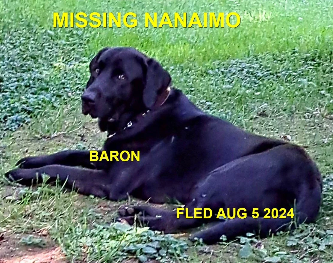 HAPPY ENDINGS - NANAIMO BC. / BARON / AUG. 5, 2024