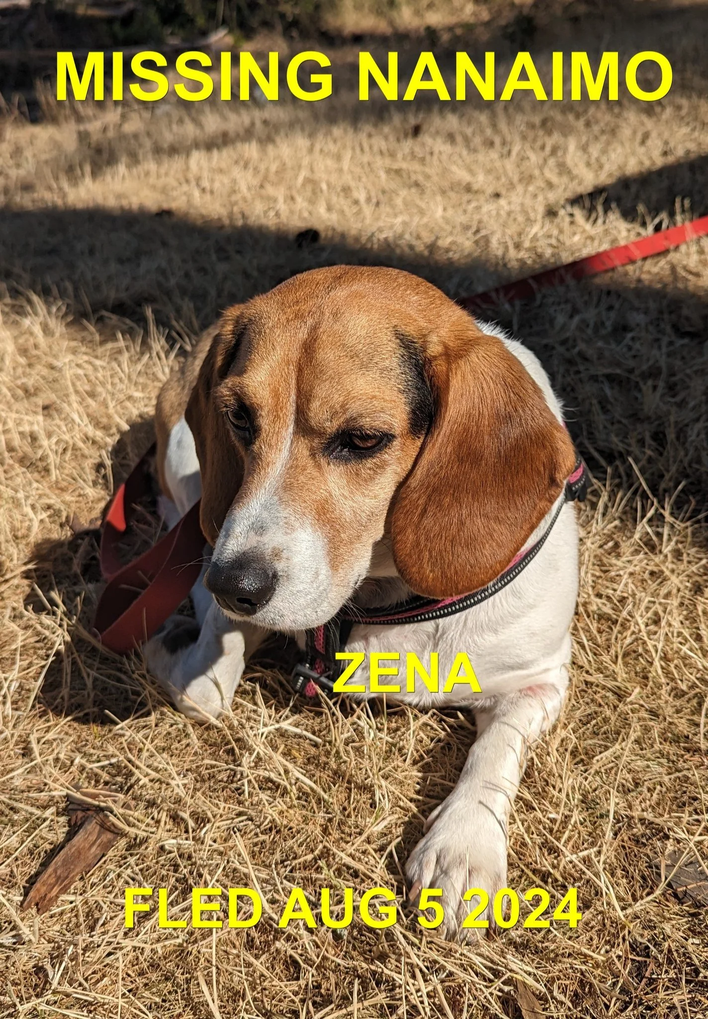 HAPPY ENDINGS - NANAIMO BC. / ZENA / AUG. 5, 2024