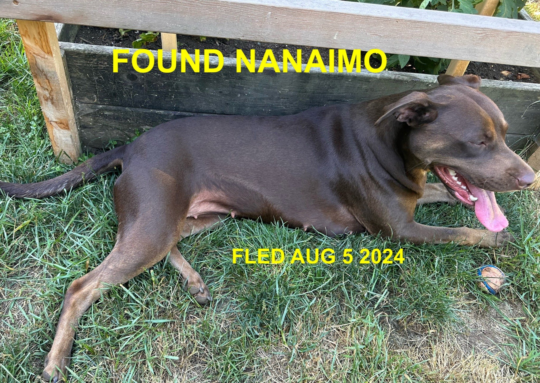 HAPPY ENDINGS - NANAIMO BC. / AUG. 5, 2024