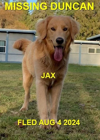 HAPPY ENDINGS - DUNCAN BC. / JAX - AUG. 4, 2024