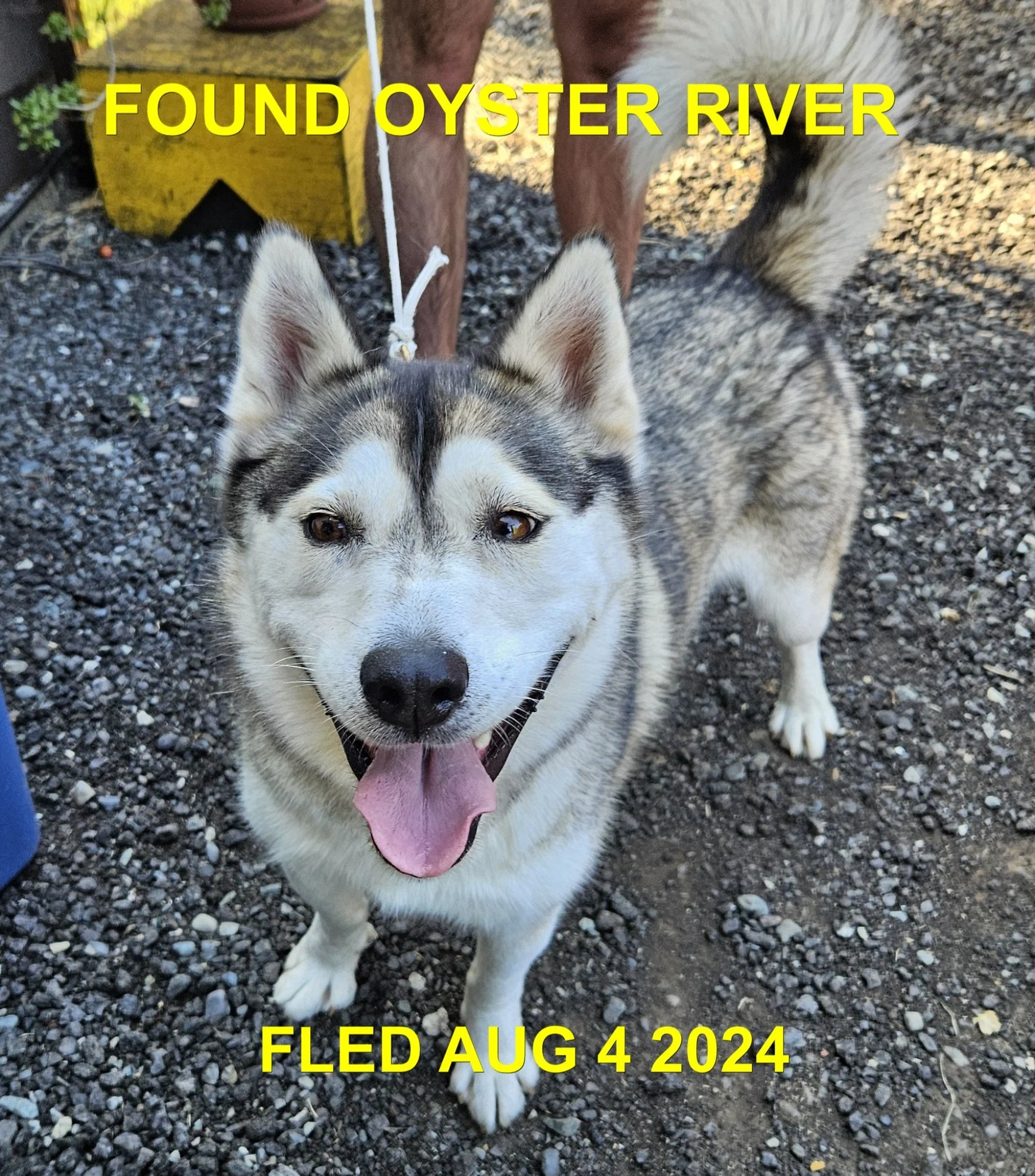 HAPPY ENDINGS - OYSTER RIVER BC. / AUG. 4, 2024