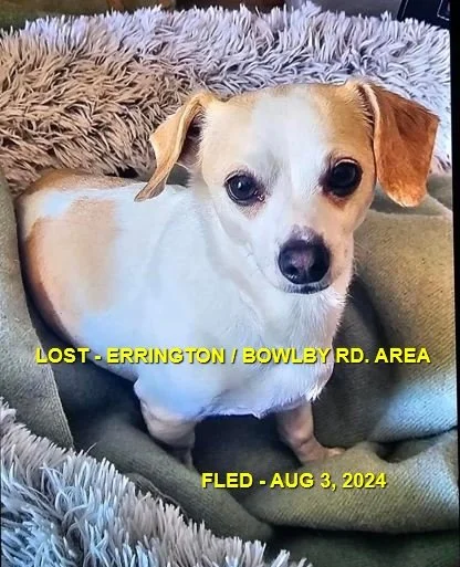 HAPPY ENDINGS - ERRINGTON BC. / SAM / AUG. 3, 2024