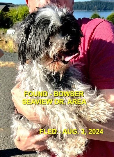 HAPPY ENDINGS - BOWSER BC. / AUG. 3, 2024