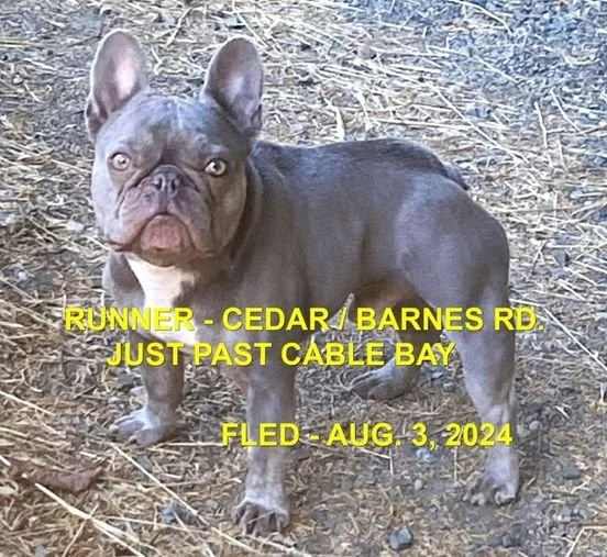 HAPPY ENDINGS - CEDAR BC. / ENZO / AUG. 3, 2024