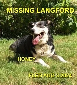 HAPPY ENDINGS - LANGFORD BC. / HONEY / AUG. 3, 2024