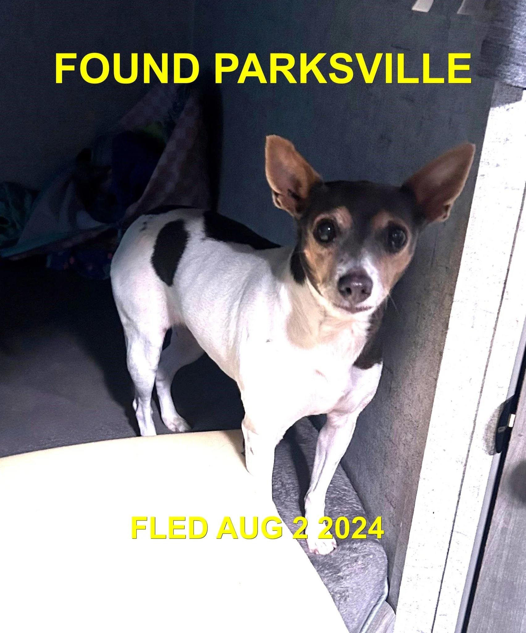 HAPPY ENDINGS - PARKSVILLE BC. / AUG. 1, 2024