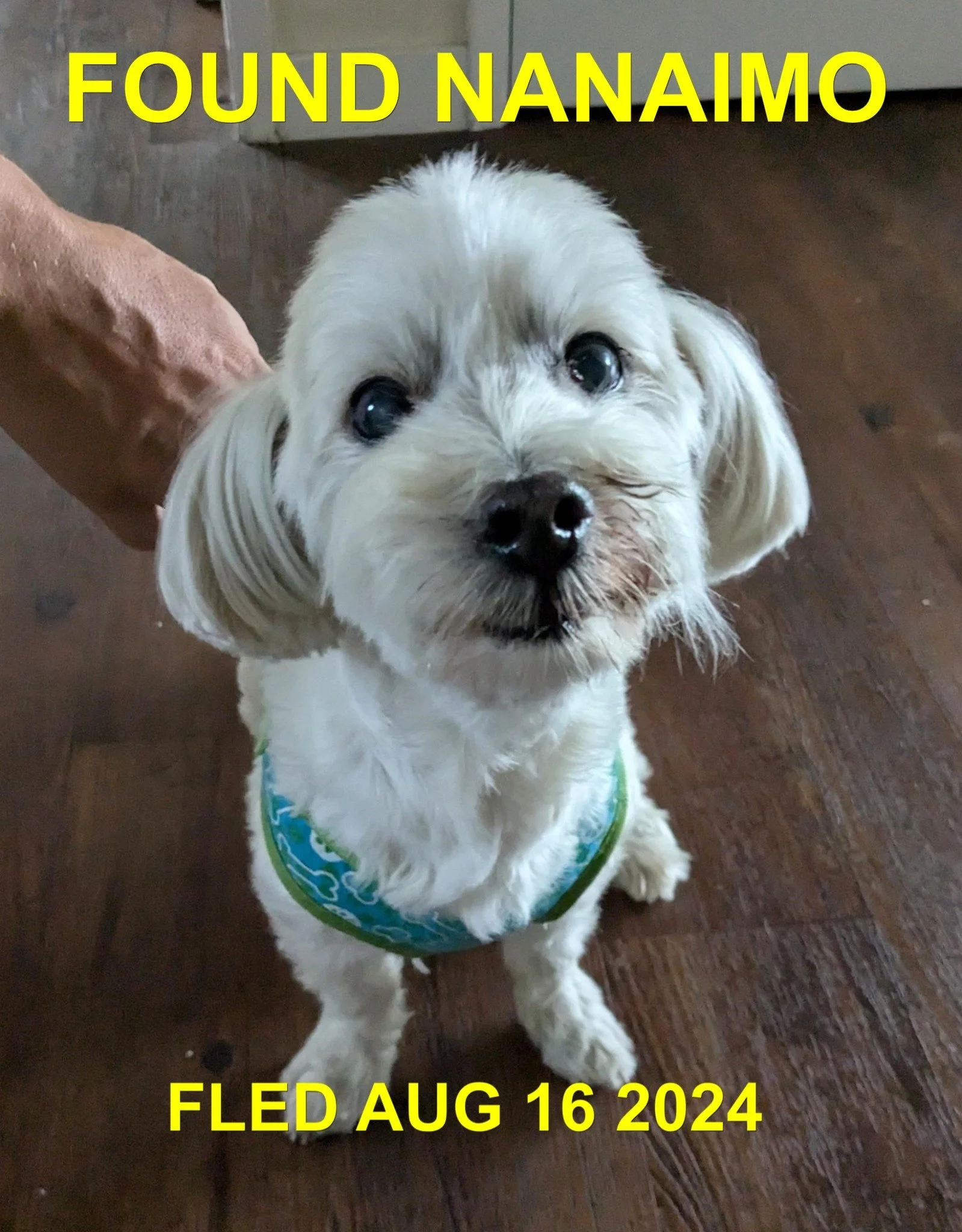 HAPPY ENDINGS - NANAIMO BC. / AUG. 16, 2024