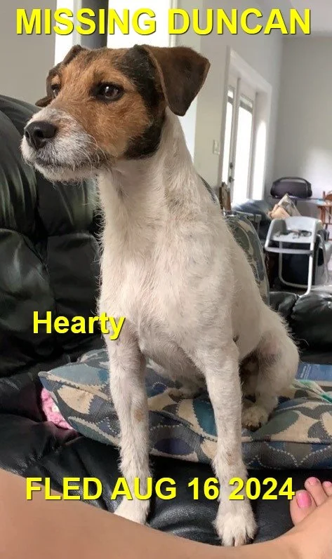 HAPPY ENDINGS - DUNCAN BC. / HEARTY / AUG. 16, 2024