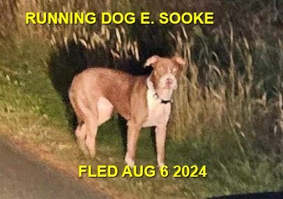 HAPPY ENDINGS - SOOKE BC. / AUG. 6, 2024