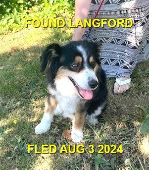 HAPPY ENDINGS - LANGFORD BC. / AUG. 3, 2024