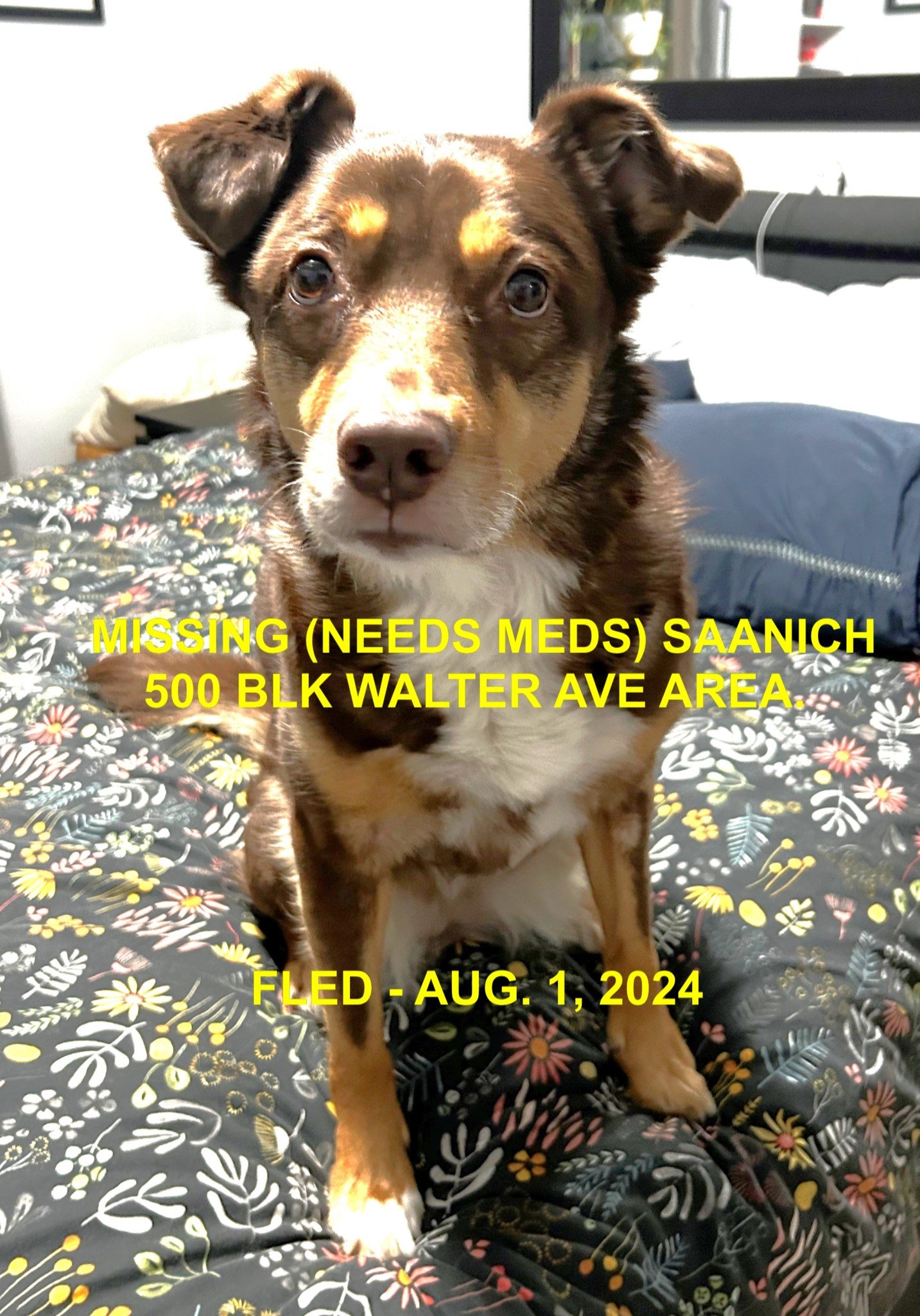 HAPPY ENDINGS- SAANICH BC. / KODAK / AUG. 1, 2024