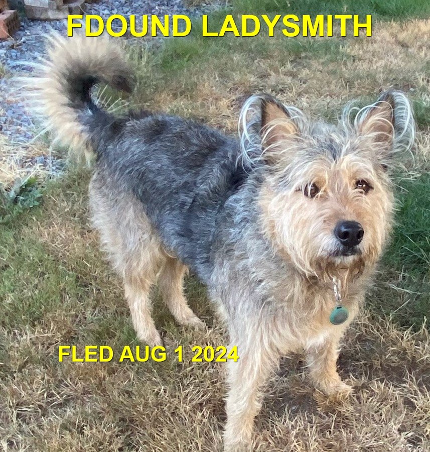 HAPPY ENDINGS - LADYSMITH BC. / OLLIE / AUG. 1, 2024