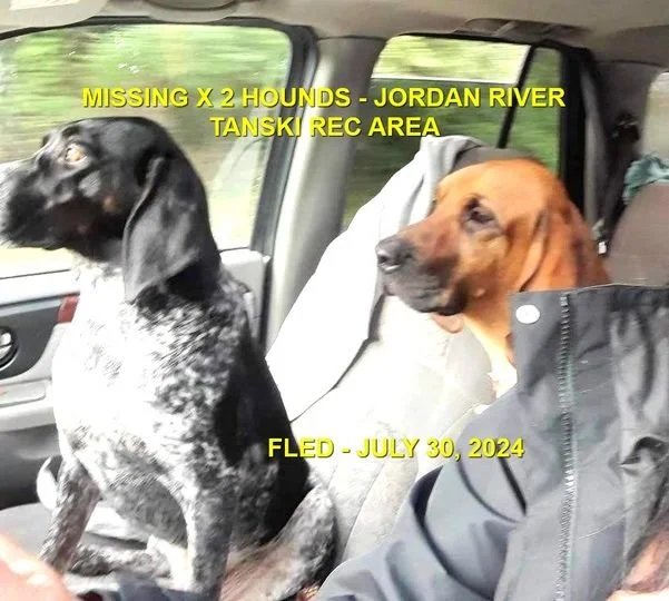 HAPPY ENDINGS - JORDAN RIVER BC. / PENNY &amp; HAZEL / JULY 30, 2024