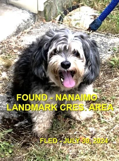 HAPPY ENDINGS - NANAIMO BC. / JULY 30, 2024