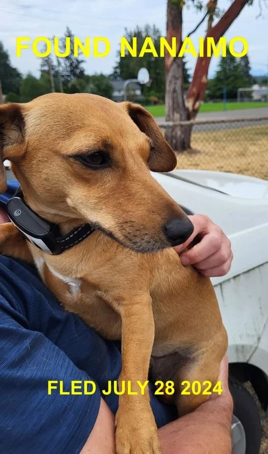 HAPPY ENDINGS - NANAIMO BC. / JULY 28, 2024