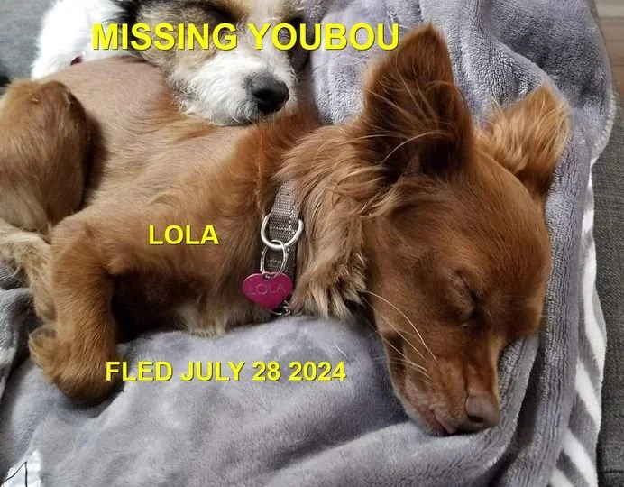 HAPPY ENDINGS - YOUBOU BC. / LOLA / JULY 28, 2024