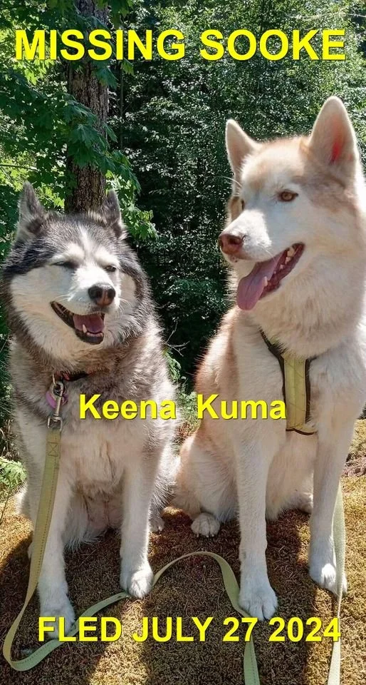 HAPPY ENDINGS - SOOKE BC. / KUMA &amp; KEENA / JULY 27, 2024