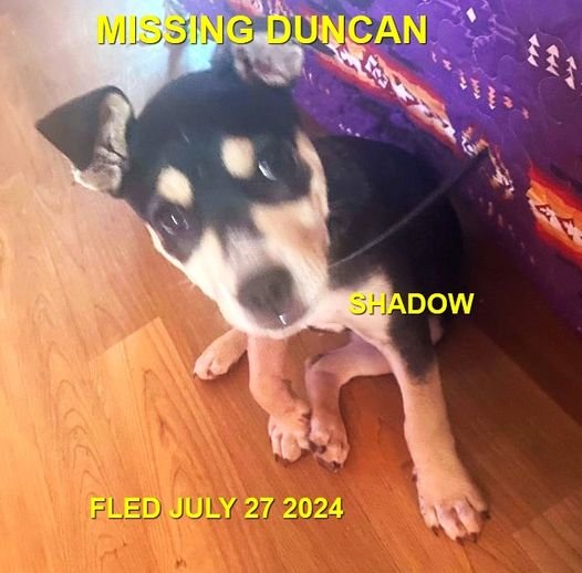 HAPPY ENDINGS - DUNCAN BC. / SHADOW / JULY 27, 2024