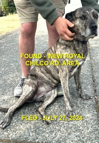 HAPPY ENDINGS - VIEW ROYAL BC. / JULY 27, 2024