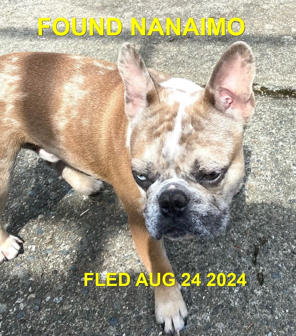 HAPPY ENDINGS - NANAIMO BC. / AUG 24, 2024