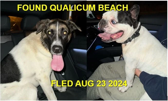 HAPPY ENDINGS - QUALICUM BEACH BC. / SKIPPER &amp; OAKLEY / AUG. 23, 2024