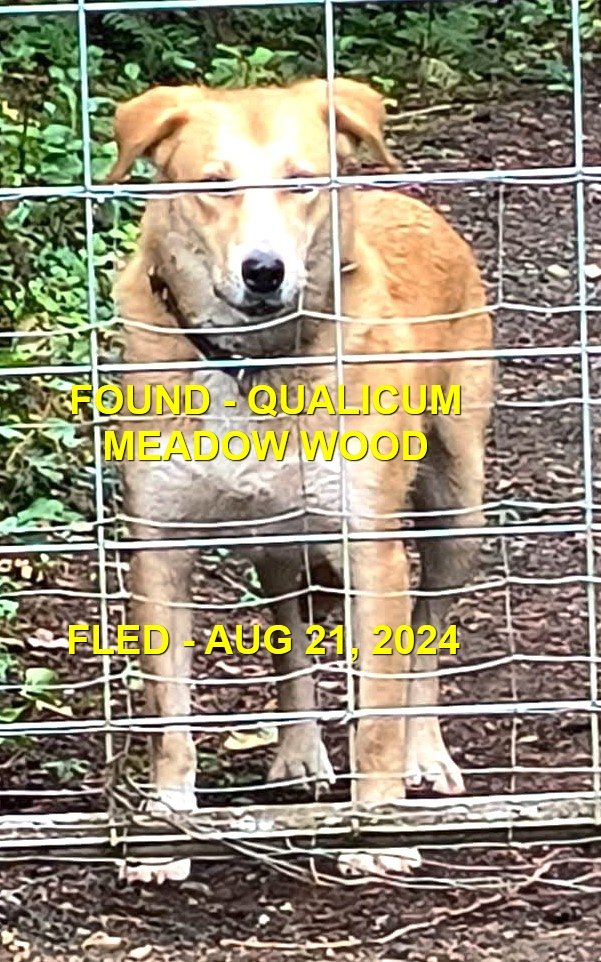 HAPPY ENDINGS - QUALICUM BC. / AUG. 21, 2024