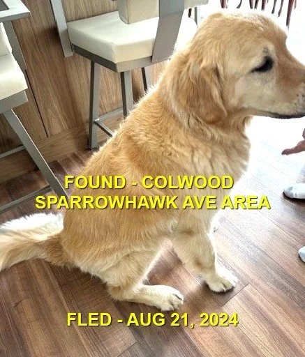 HAPPY ENDINGS - COLWOOD BC. / AUG. 21, 2024