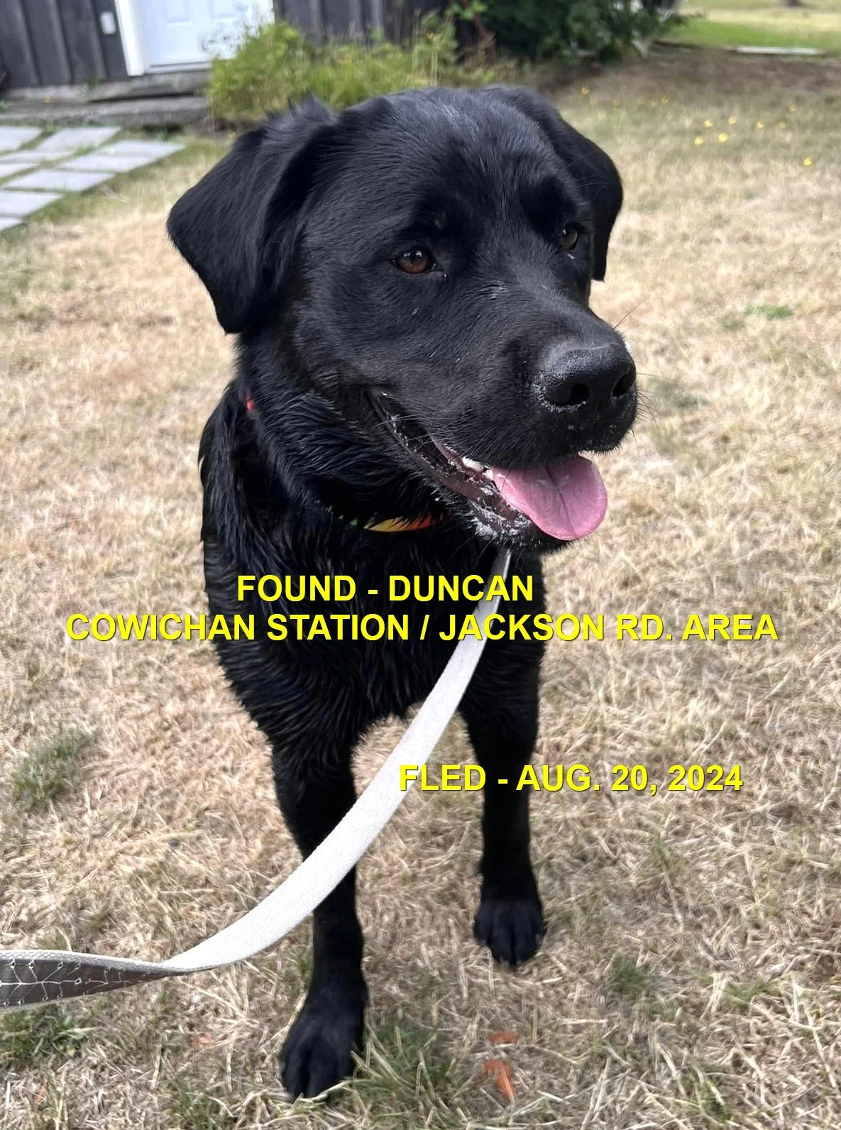 HAPPY ENDINGS - DUNCAN BC. / AUG. 20, 2024