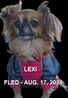 HAPPY ENDINGS - NANAIMO BC. / LEXI / AUG. 17, 2024