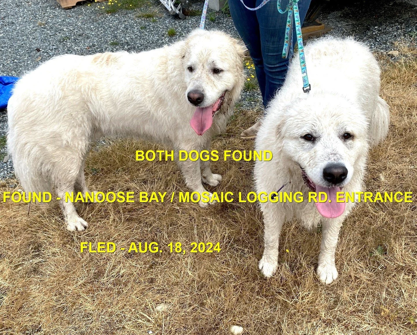 HAPPY ENDINGS - NANOOSE BAY BC. / AUG. 18, 2024