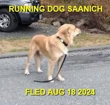 HAPPY ENDINGS - SAANICH BC. / AUG. 18, 2024