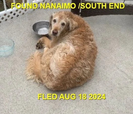 HAPPY ENDINGS - NANAIMO BC. / AUG. 18, 2024