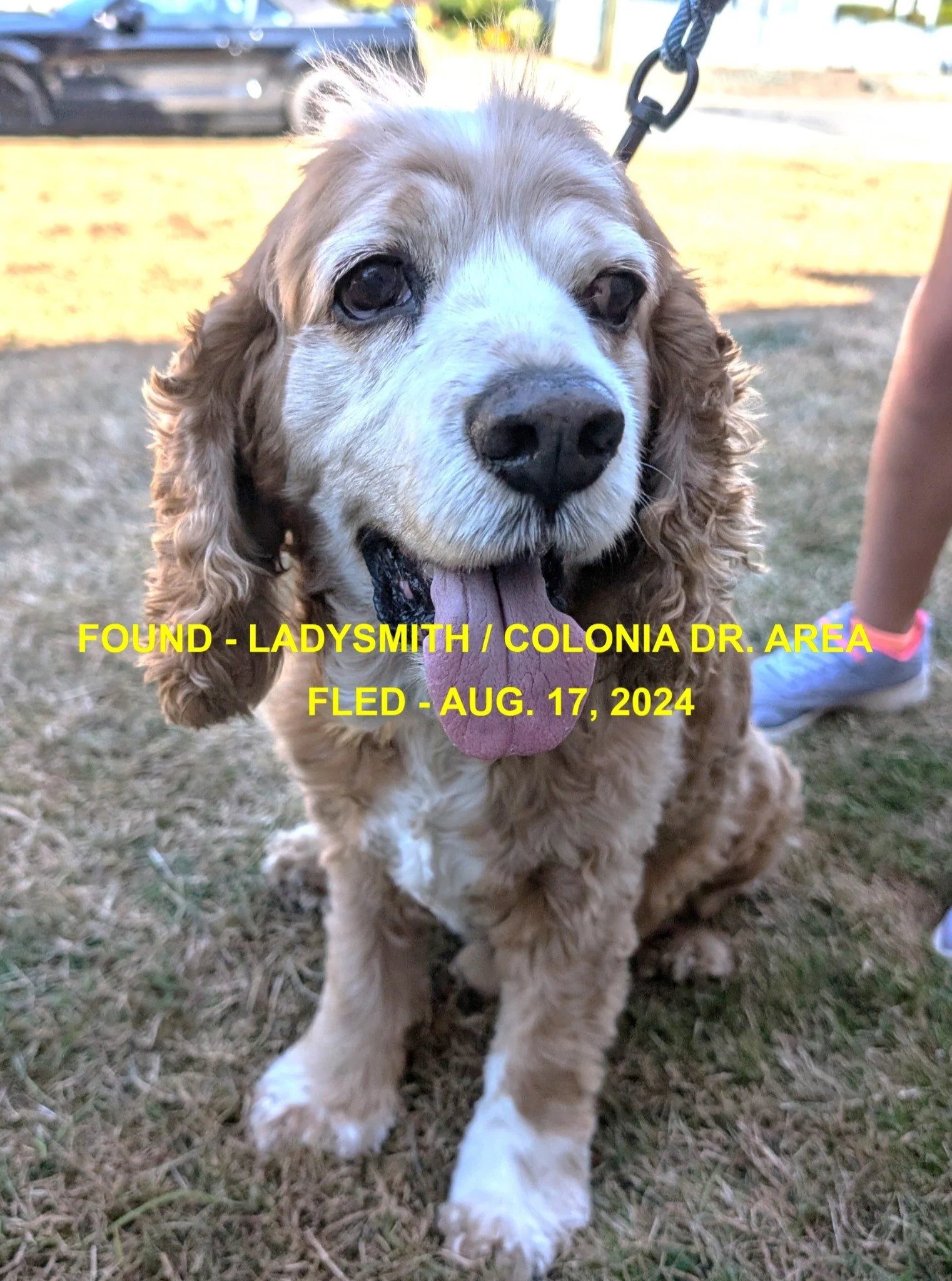 HAPPY ENDINGS - LADYSMITH BC. / AUG. 17, 2024