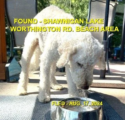 HAPPY ENDINGS - SHAWNIGAN LAKE BC. / AUG. 17, 2024