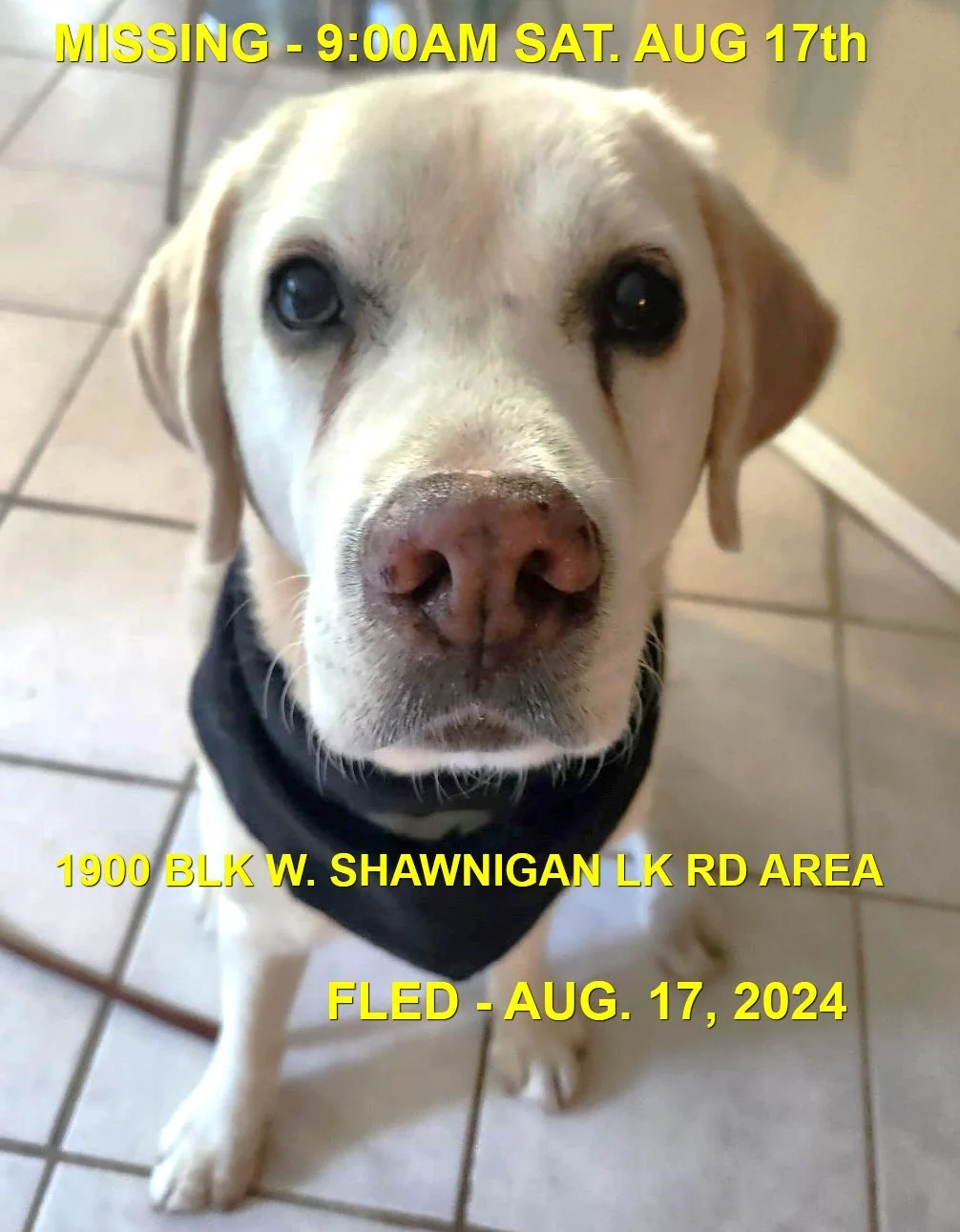 HAPPY ENDINGS - SHAWNIGAN LAKE BC. / HUNTER / AUG. 17, 2024