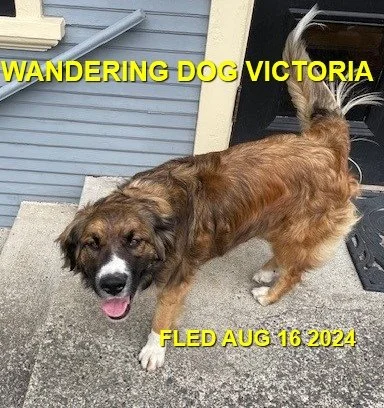 HAPPY ENDINGS - VICTORIA BC. / AUG. 16, 2024