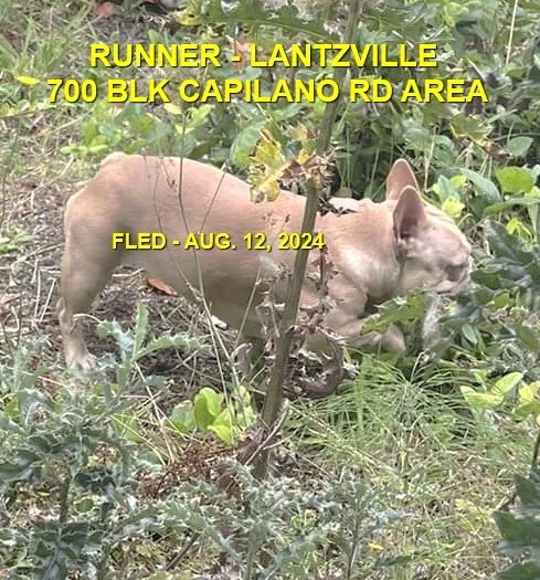 HAPPY ENDINGS - LANTZVILLE BC. / AUG. 12, 2024