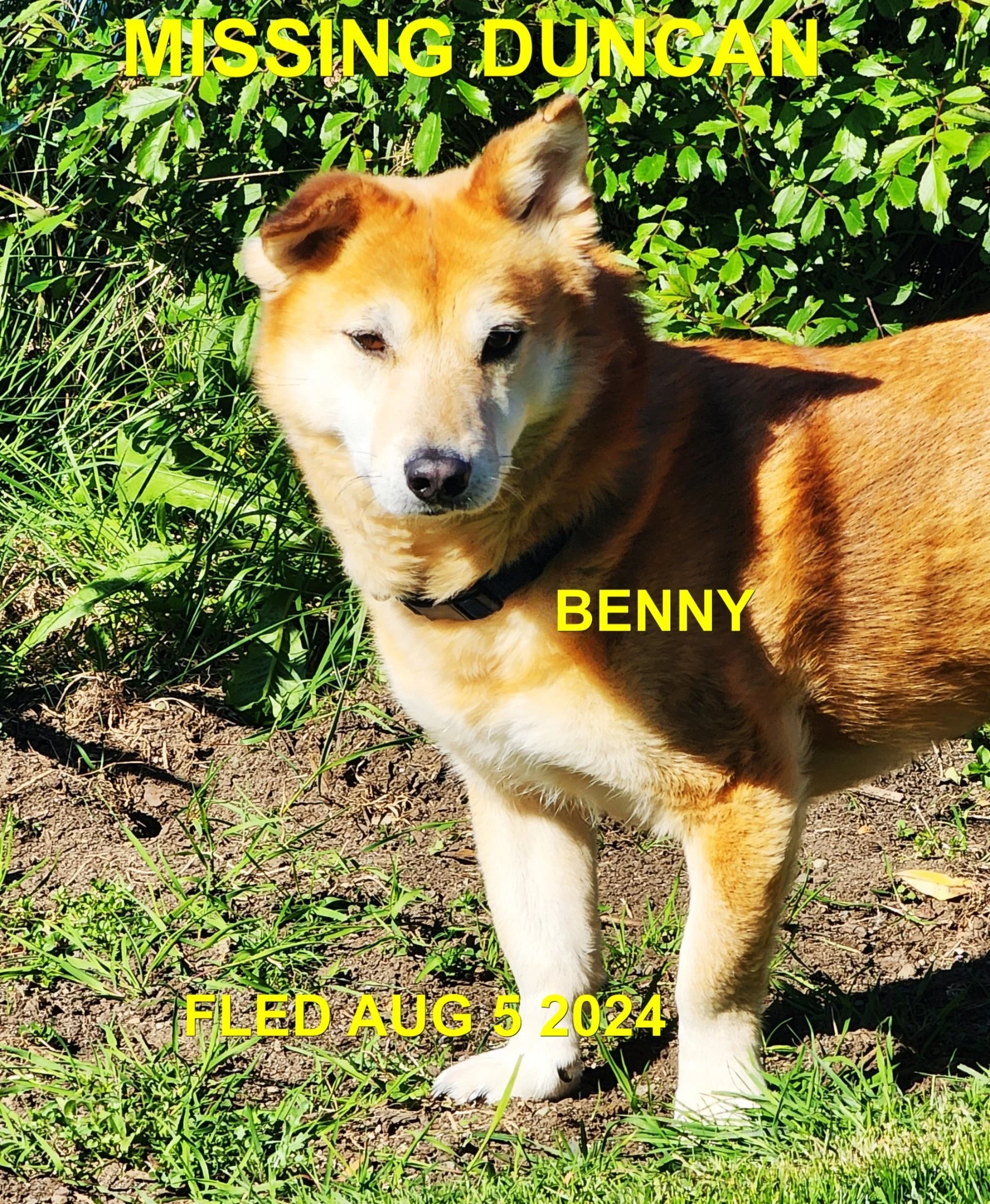 HAPPY ENDINGS - DUNCAN BC. / BENNY / AUG. 3, 2024