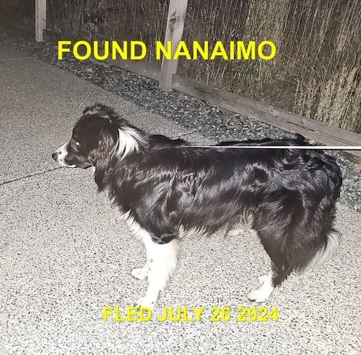 HAPPY ENDINGS - NANAIMO BC. / JULY 26, 2024