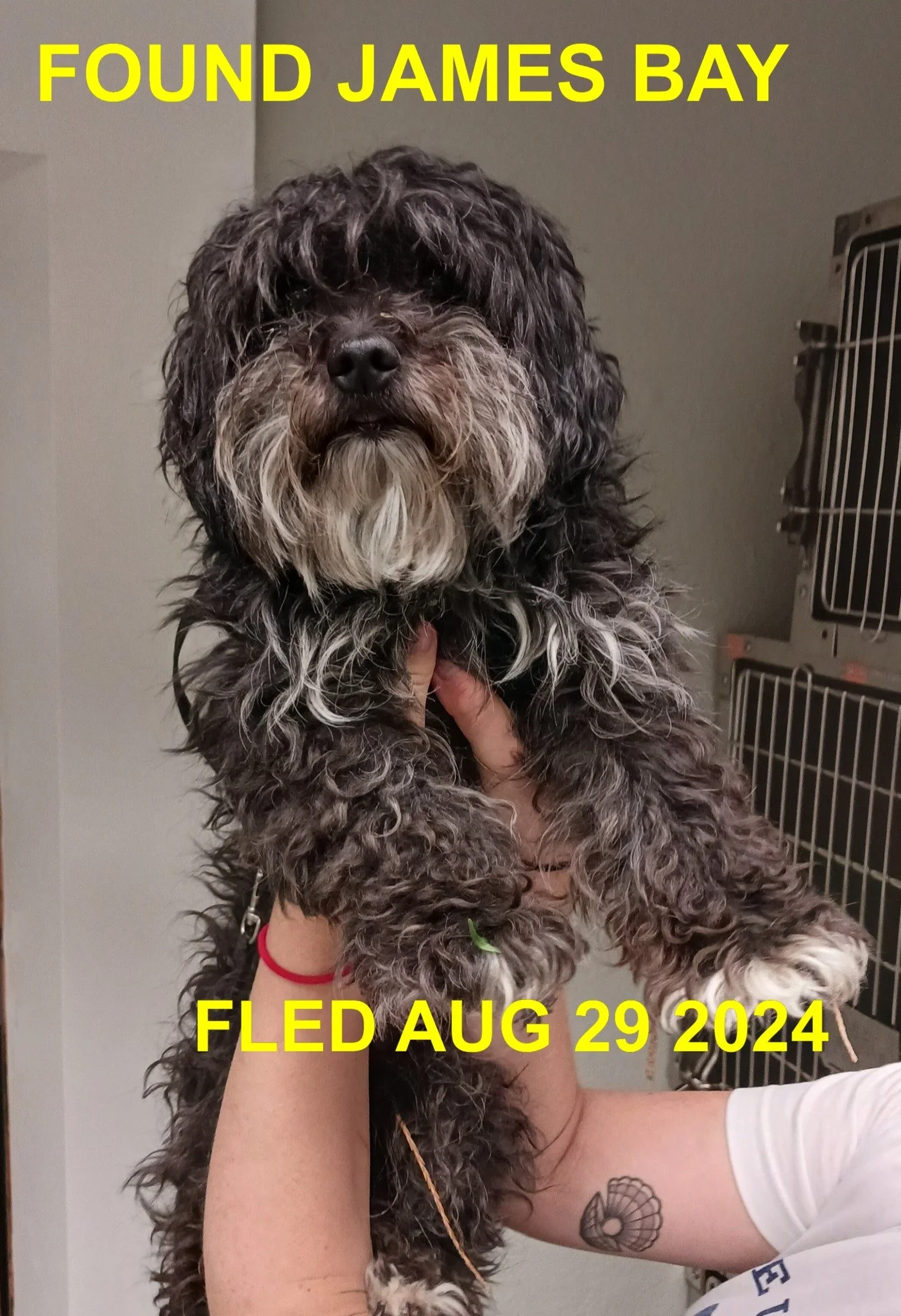 HAPPY ENDINGS - VICTORIA BC. / AUG. 29, 2024