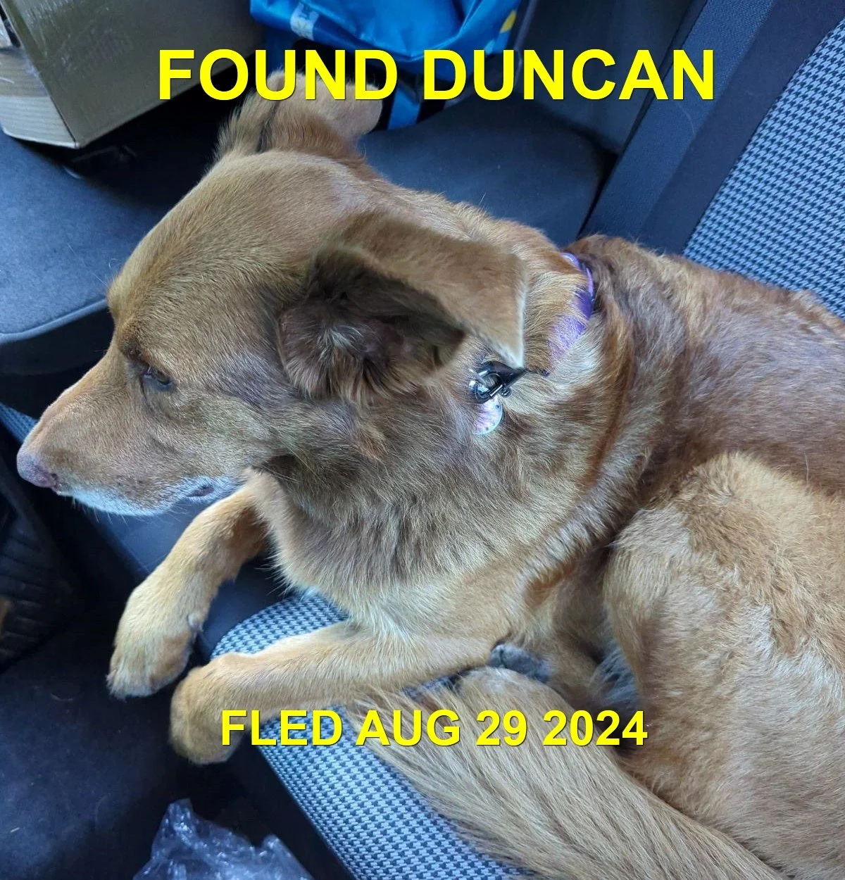 HAPPY ENDINGS - DUNCAN BC. / CHARLIE / AUG. 29, 2024