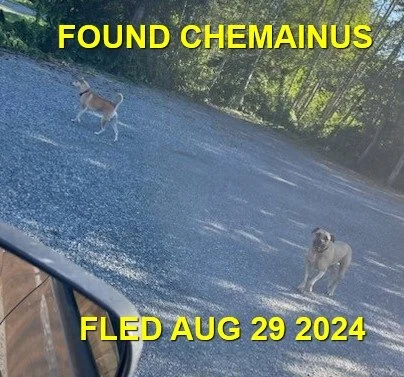 HAPPY ENDINGS -CHEMAINUS BC. / AUG. 29, 2024