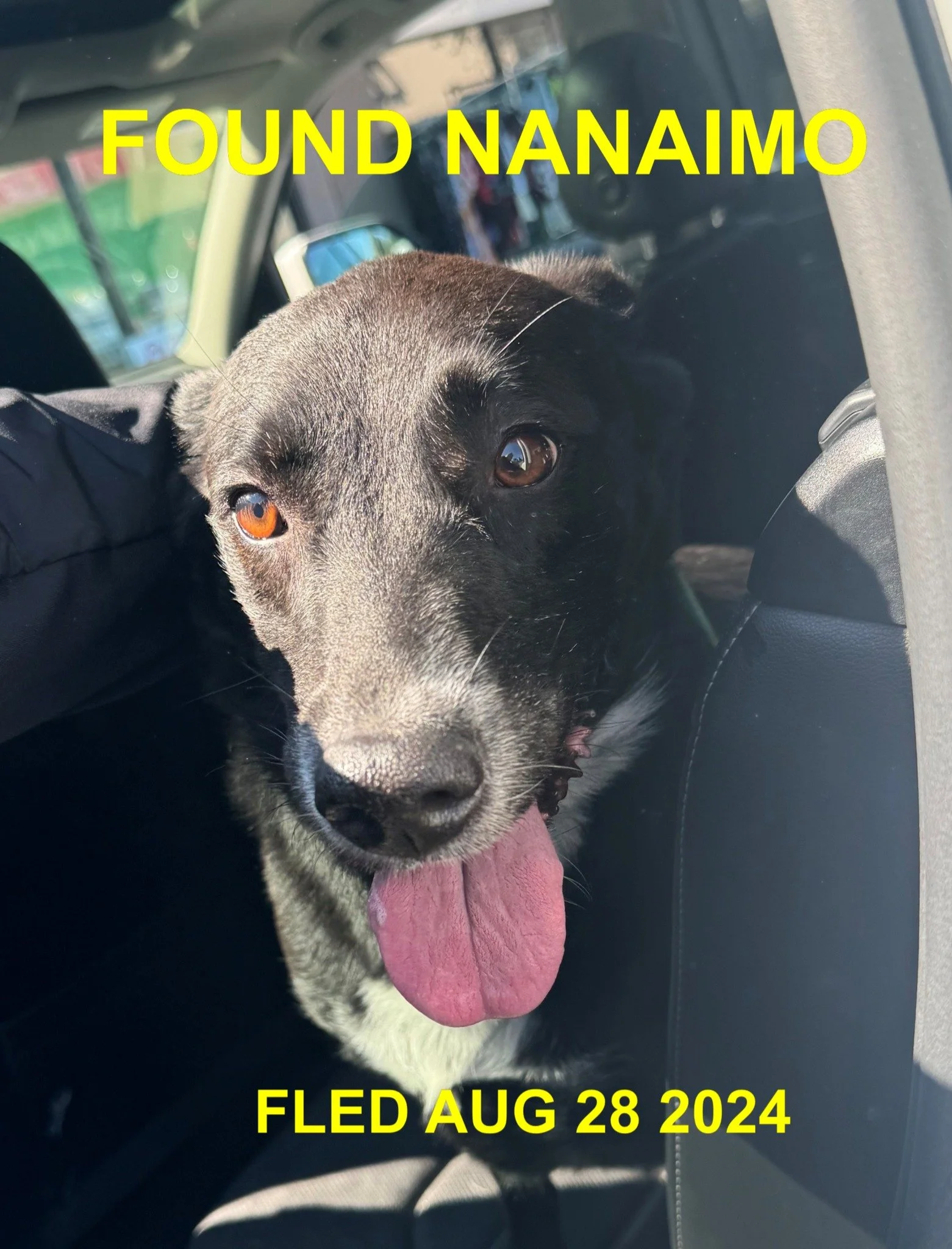 HAPPY ENDINGS - NANAIMO BC. / AUG. 28, 2024