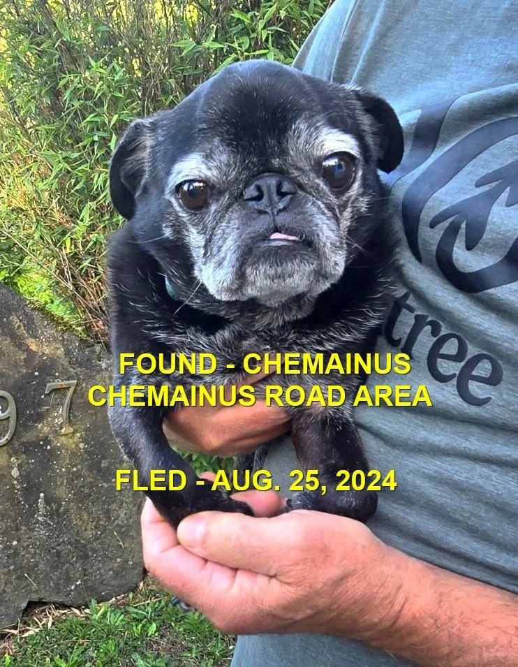 HAPPY ENDINGS - CHEMAINUS BC. / KIA / AUG. 25, 2024