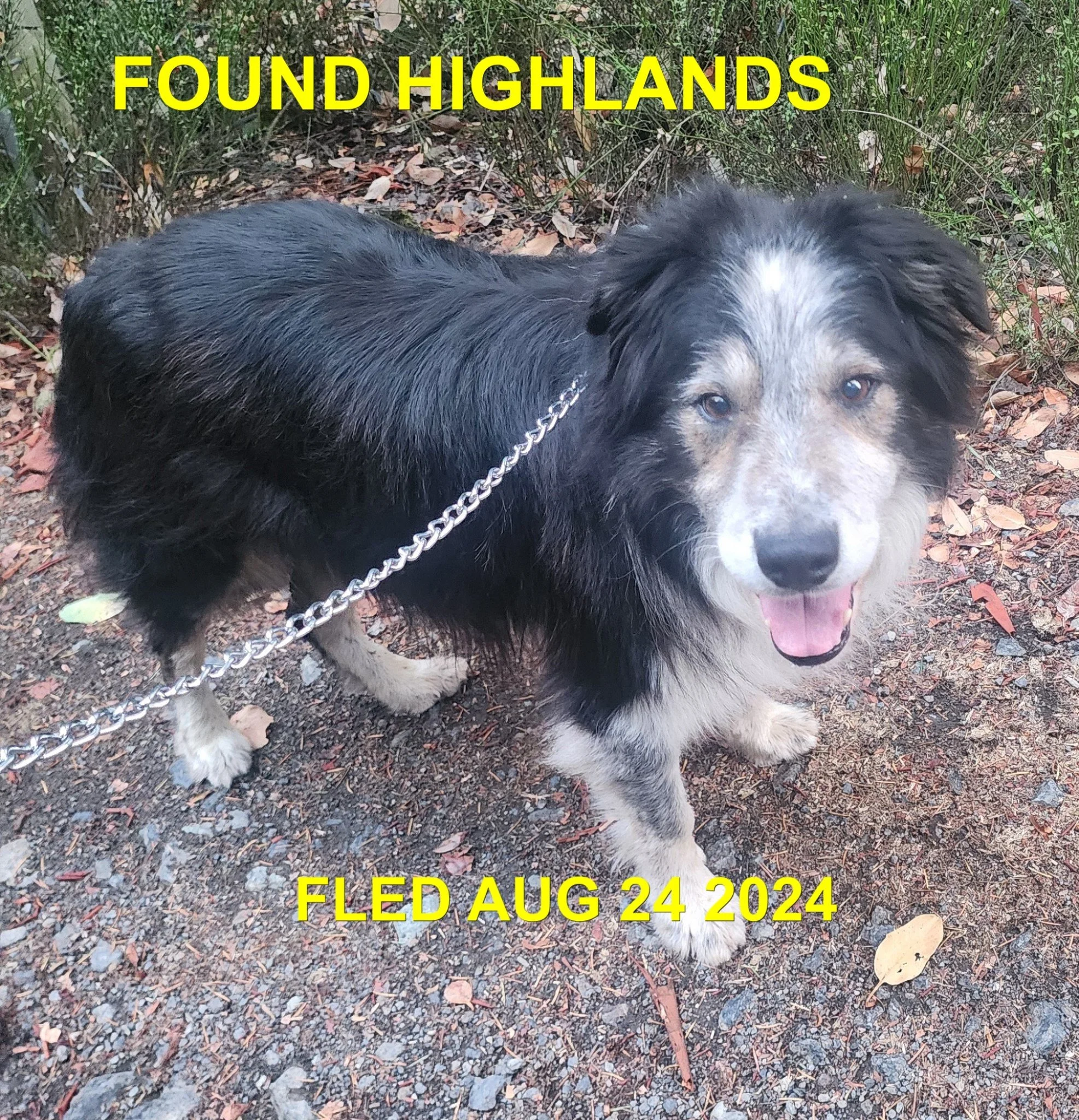 HAPPY ENDINGS - HIGHLANDS BC. / AUG. 24, 2024