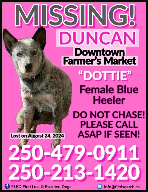 HAPPY ENDINGS - DUNCAN BC. / DOTTIE / AUG. 24, 2024