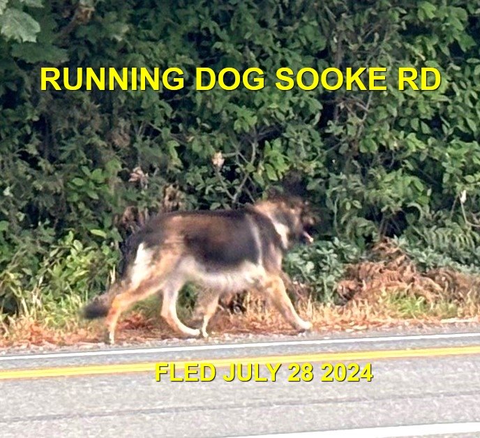 NOTHING MORE REPORTED - SOOKE BC. / JULY 28, 2024